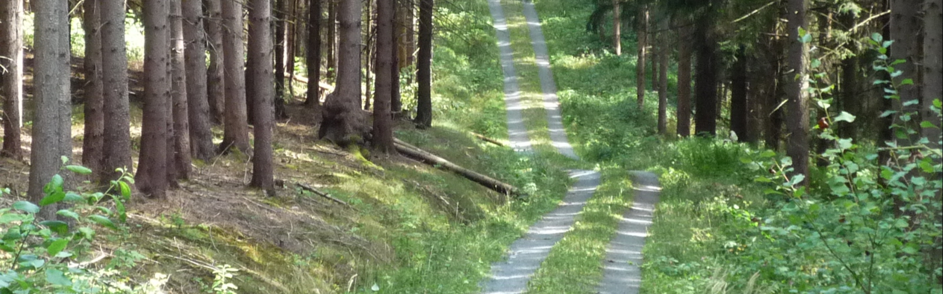 Anfahrt zu den Campplätzen Image